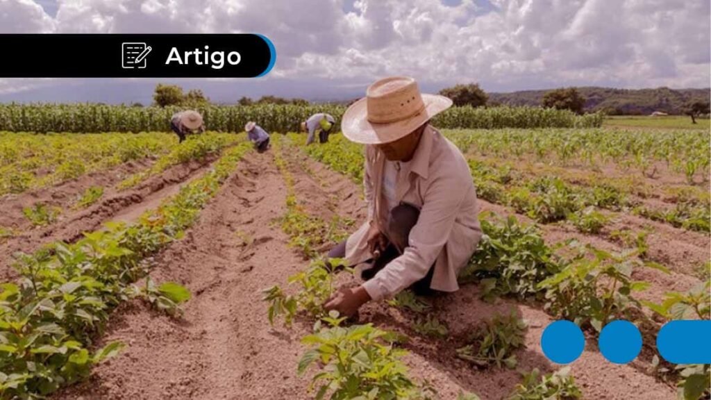 Trabalhador rural, tema da aposentadoria por idade rural